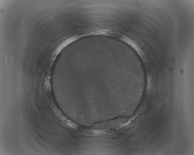 X0000085041308200703261301