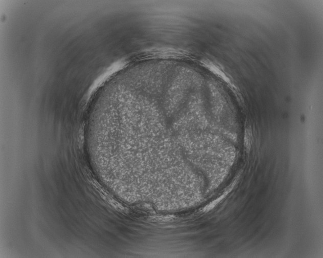 X0000085041309200703261301