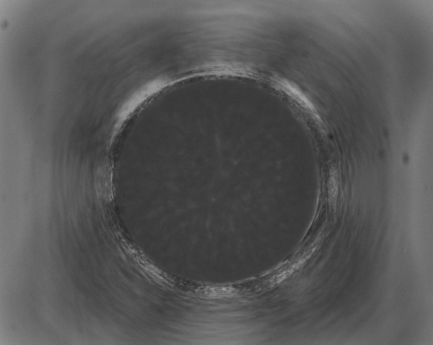 X0000085041310200703261301