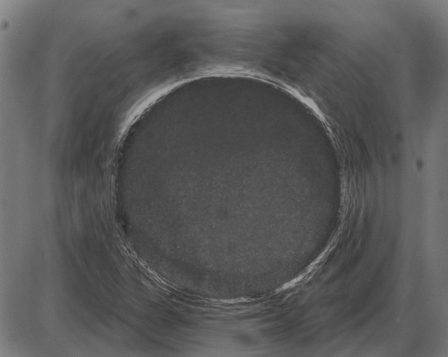 X0000085041311200703261301