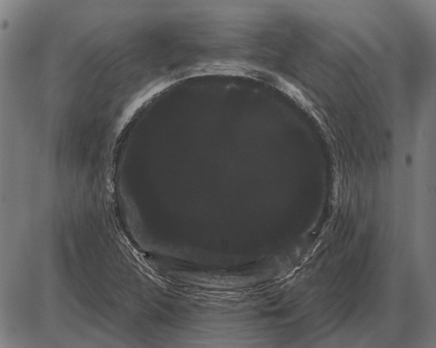 X0000085041312200703261301