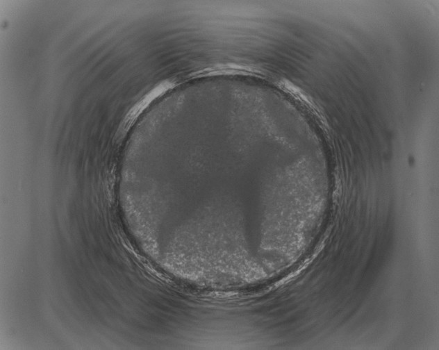 X0000085041313200703261302