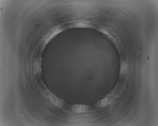 X0000085041314200703261302