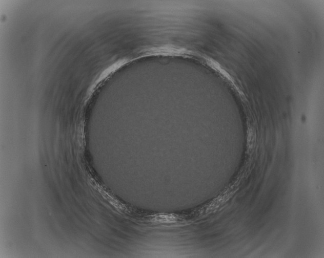 X0000085041315200703261302