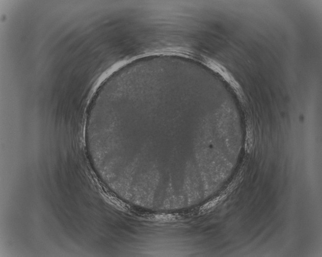 X0000085041316200703261302