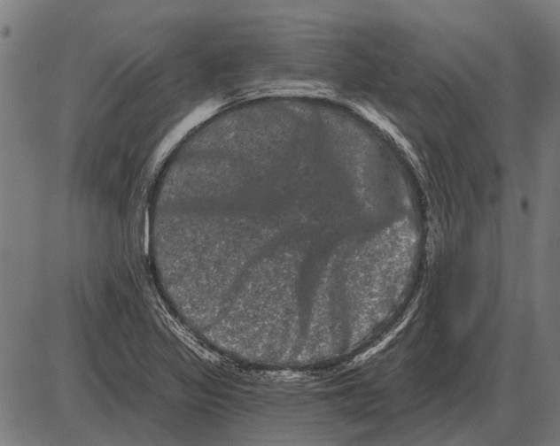 X0000085041317200703261302