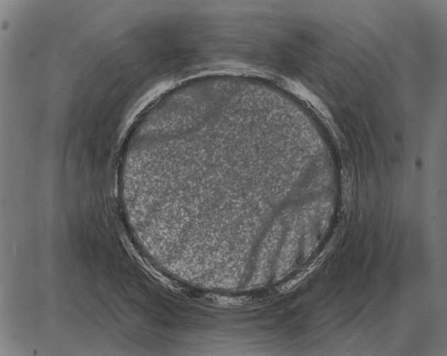 X0000085041318200703261302