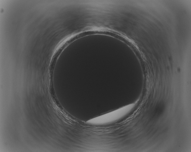 X0000085041319200703261302