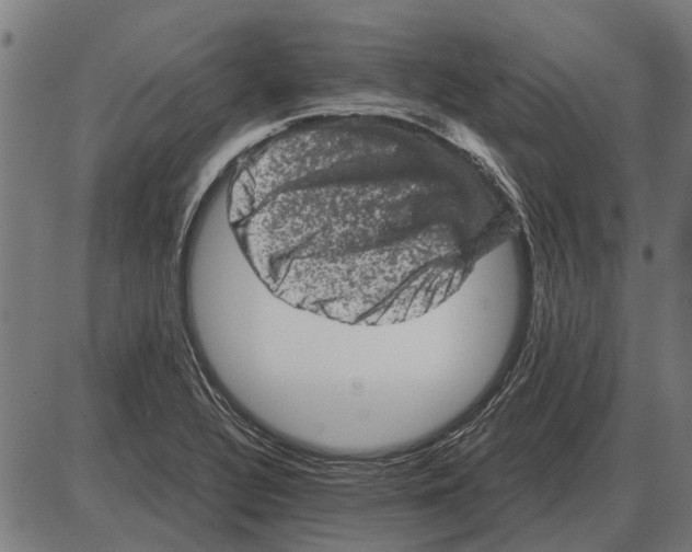 X0000085041320200703261302