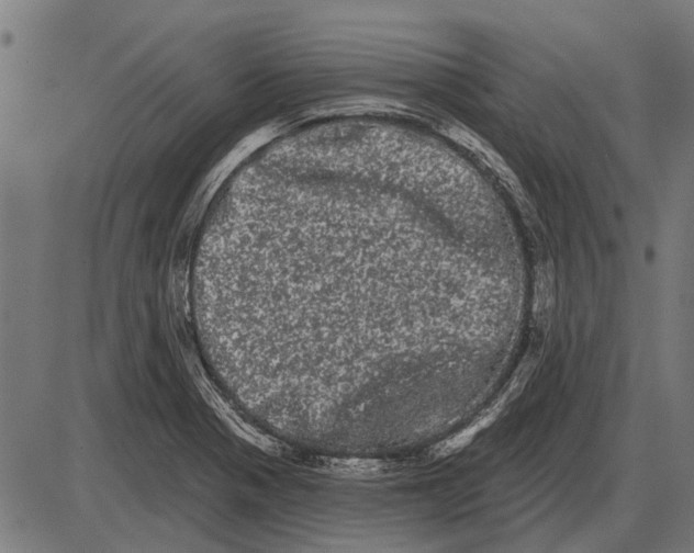 X0000085041321200703261302