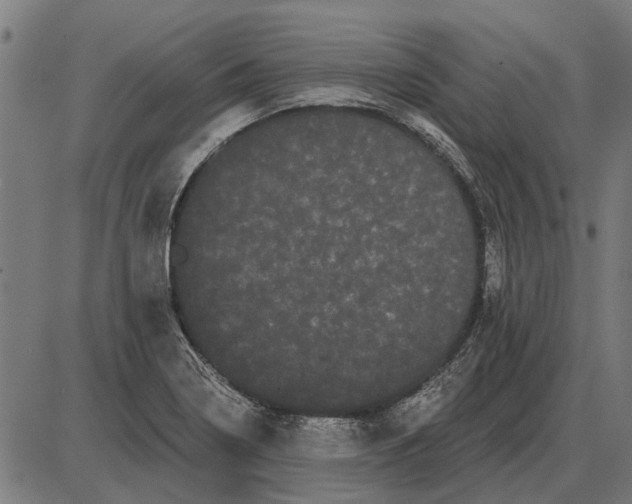 X0000085041322200703261302