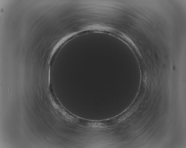 X0000085041323200703261302