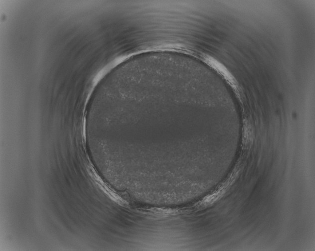 X0000085041324200703261302