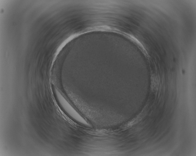 X0000085041326200703261302