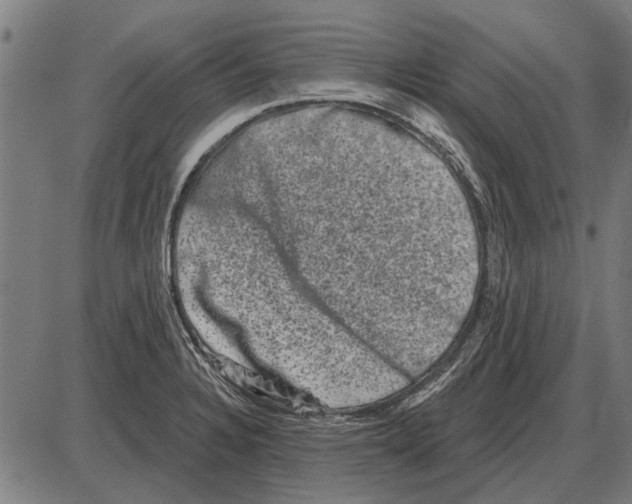 X0000085041328200703261302