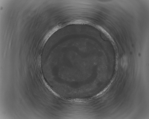 X0000085041329200703261302