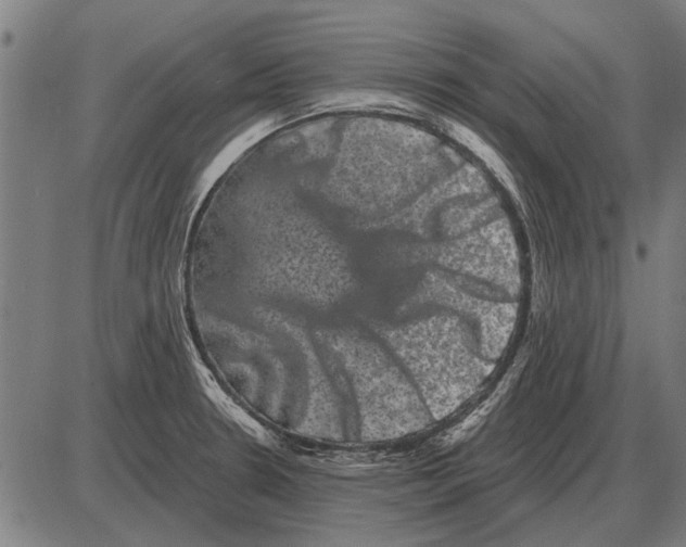 X0000085041330200703261302