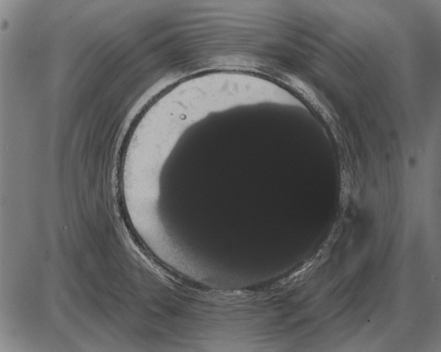 X0000085041331200703261302