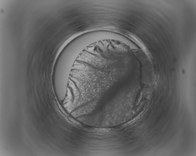 X0000085041332200703261302