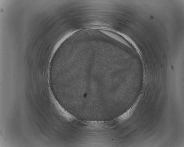 X0000085041333200703261302