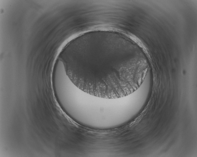 X0000085041334200703261302