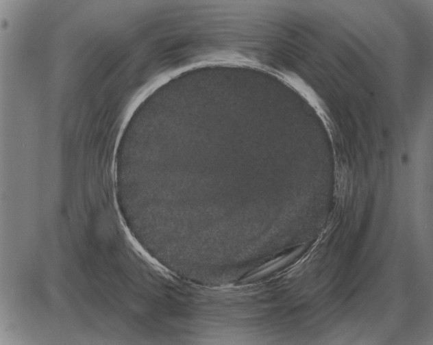 X0000085041335200703261302