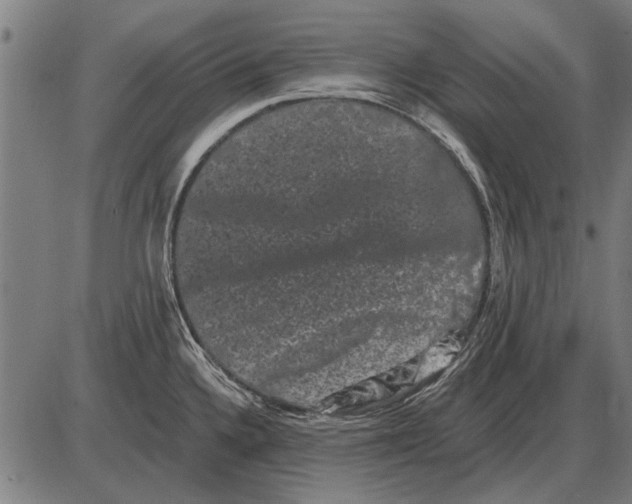 X0000085041336200703261302