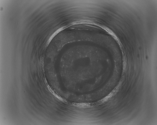 X0000085041337200703261302