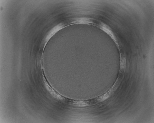 X0000085041338200703261302