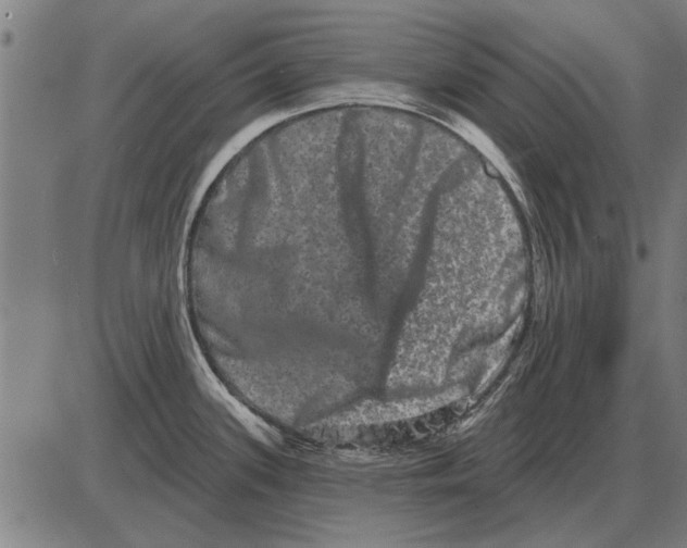 X0000085041339200703261302