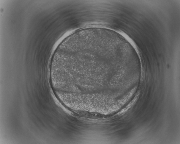 X0000085041341200703261302