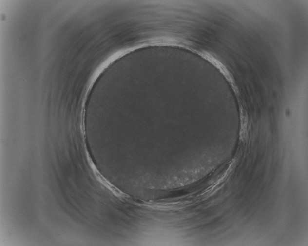 X0000085041342200703261302