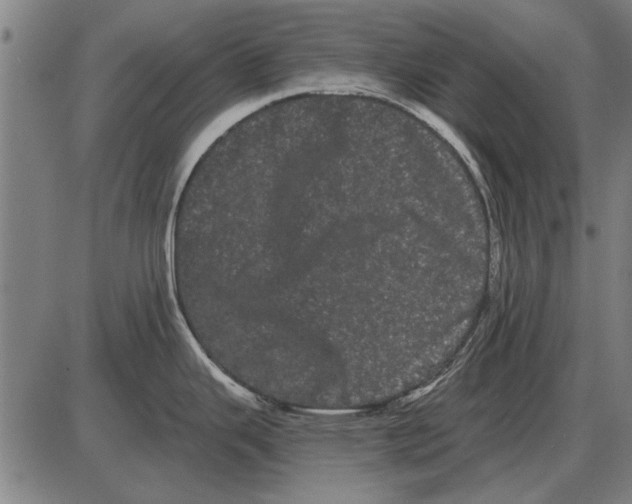 X0000085041343200703261302