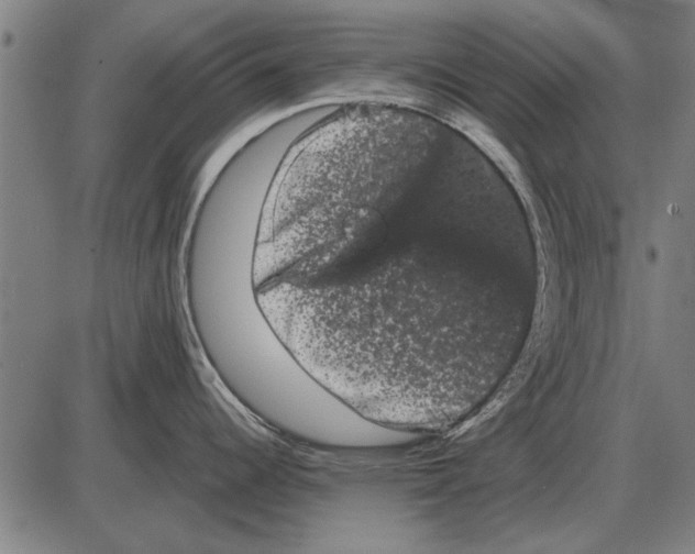 X0000085041344200703261302