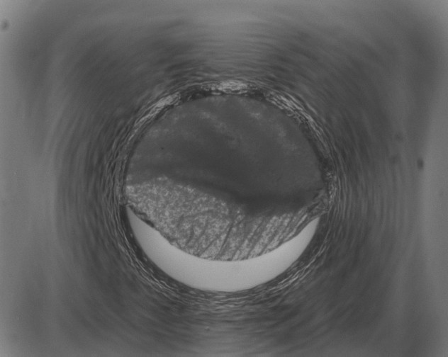 X0000085041345200703261301