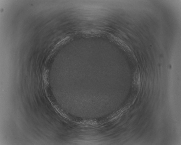 X0000085041346200703261301