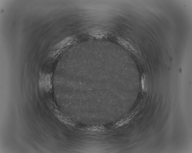 X0000085041347200703261301