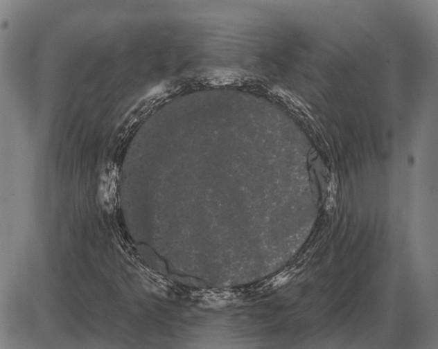 X0000085041349200703261301