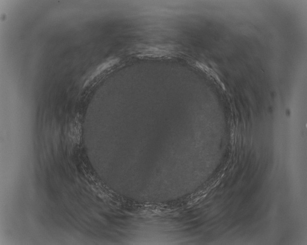 X0000085041350200703261301