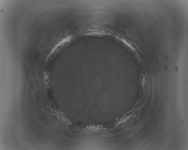 X0000085041351200703261301