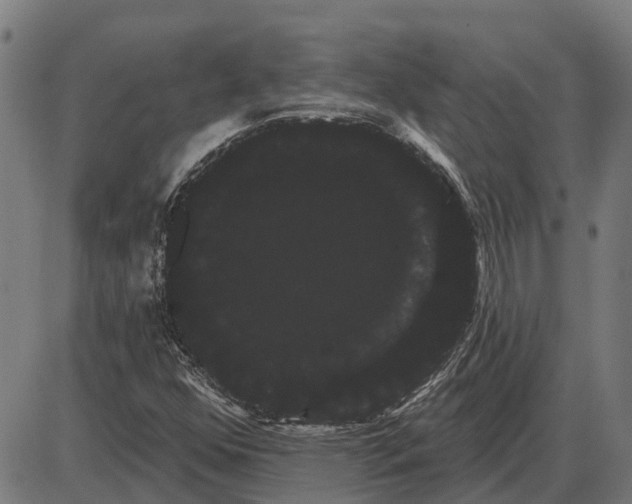 X0000085041352200703261301