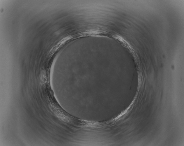 X0000085041353200703261301