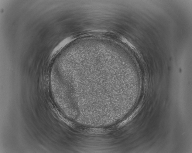 X0000085041354200703261301