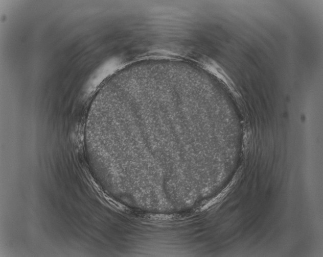 X0000085041355200703261301