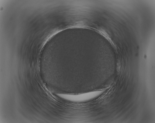 X0000085041356200703261301