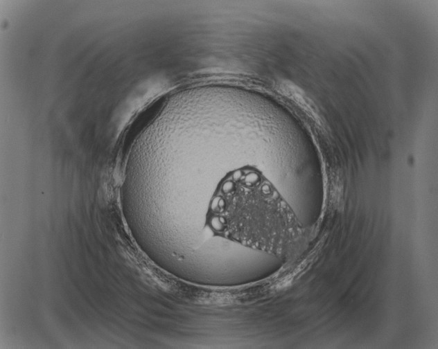 X0000085041357200703261301