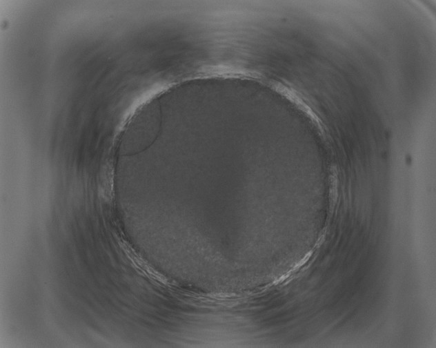 X0000085041358200703261301