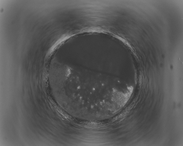 X0000085041359200703261301