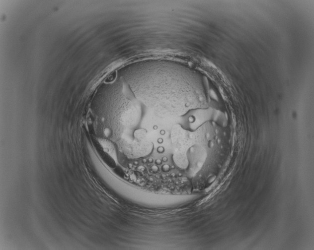 X0000085041361200703261301