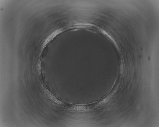 X0000085041362200703261301